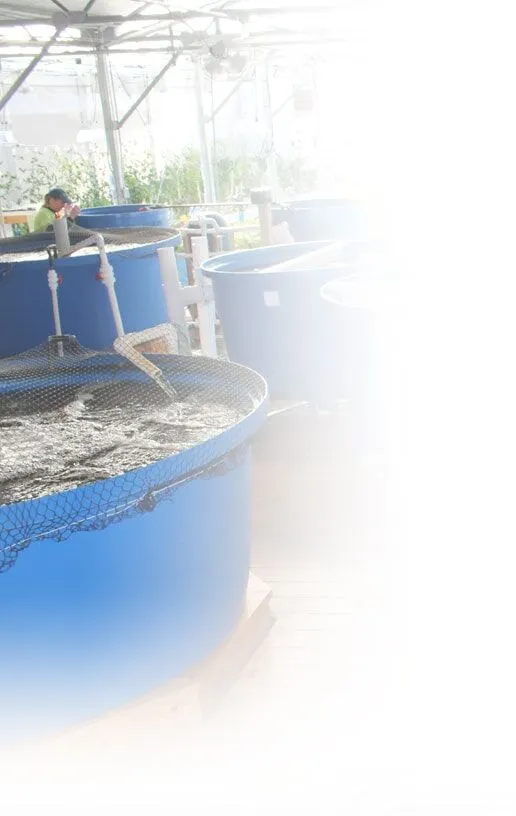 Aquaponic Farming in the Nelson and Pade photo gallery